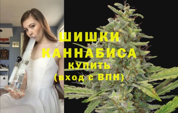 спайс Беломорск