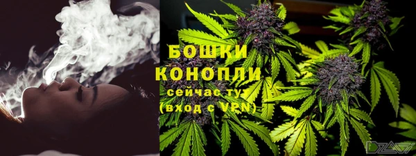 spice Богданович