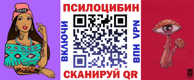 закладки  Оренбург  Псилоцибиновые грибы MAGIC MUSHROOMS 